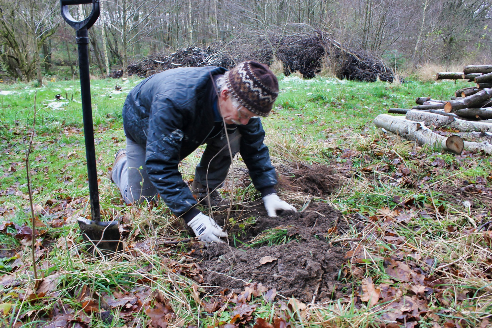 23. november - plantning